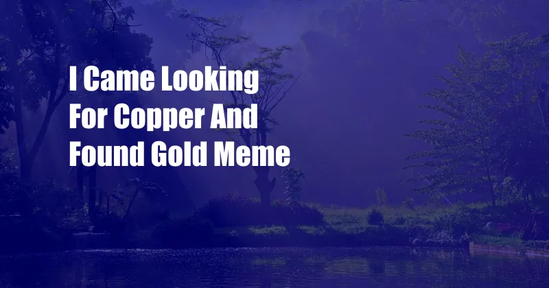 I Came Looking For Copper And Found Gold Meme