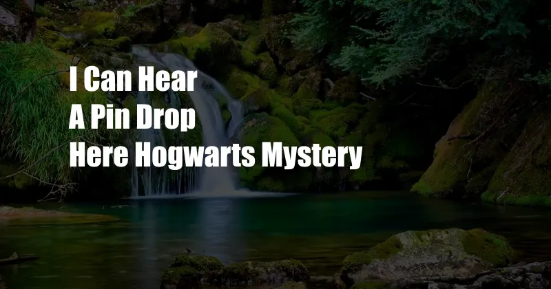 I Can Hear A Pin Drop Here Hogwarts Mystery