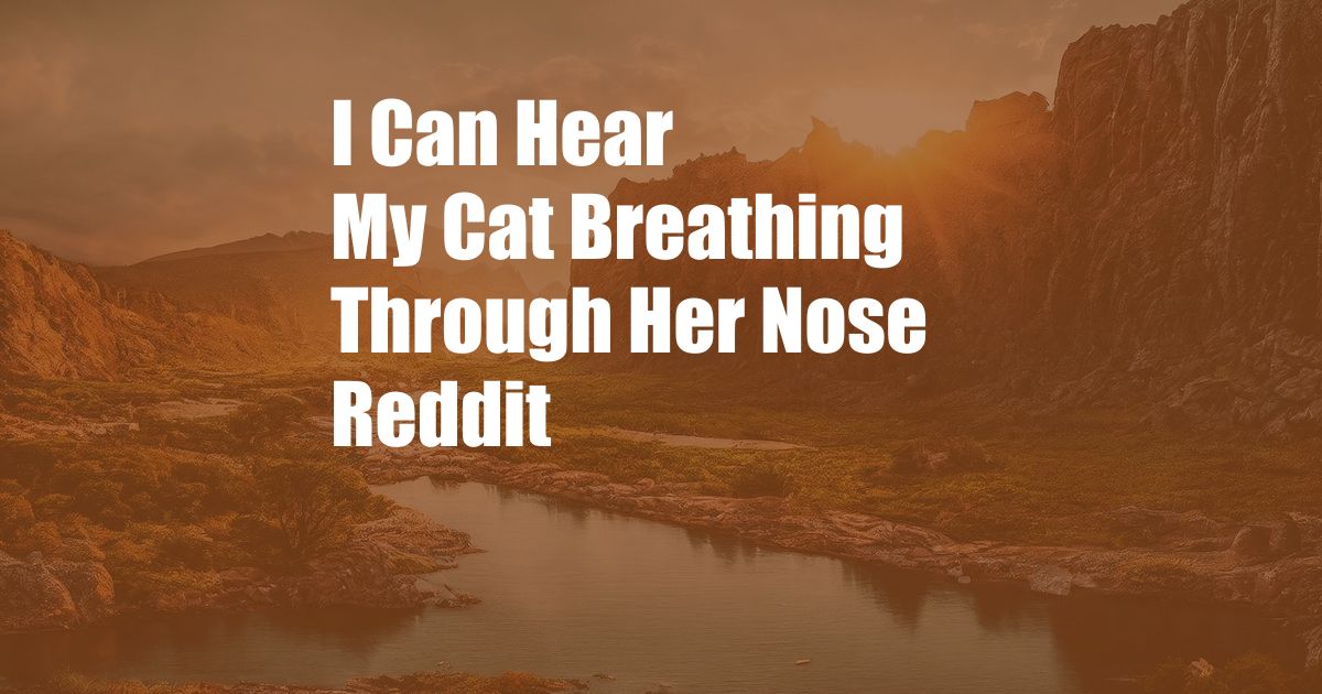 I Can Hear My Cat Breathing Through Her Nose Reddit