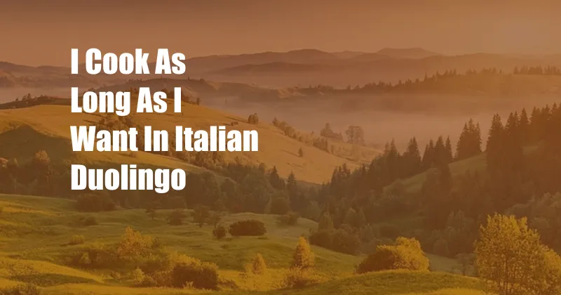 I Cook As Long As I Want In Italian Duolingo