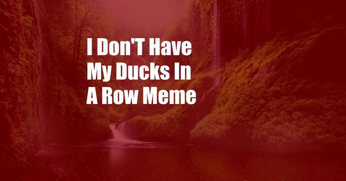 I Don'T Have My Ducks In A Row Meme