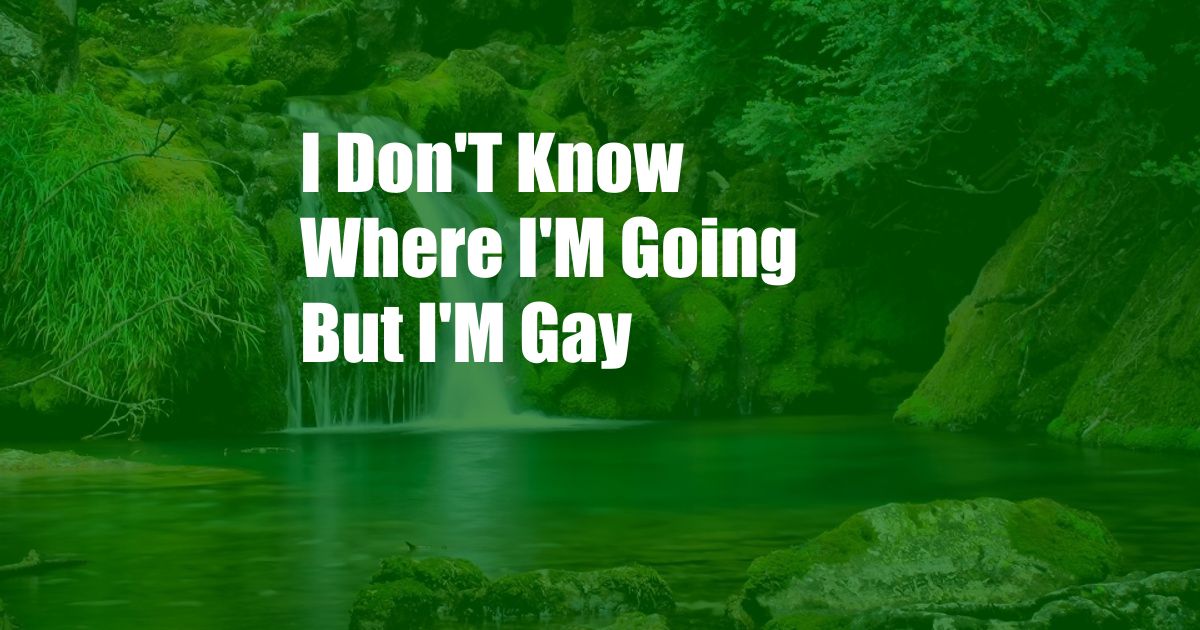 I Don'T Know Where I'M Going But I'M Gay