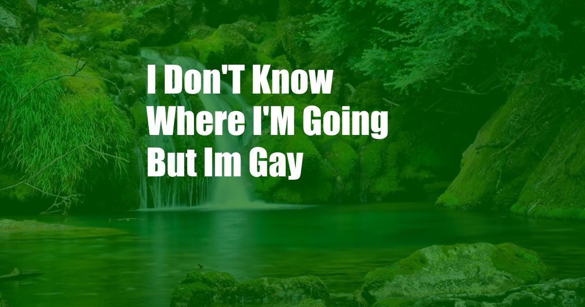 I Don'T Know Where I'M Going But Im Gay