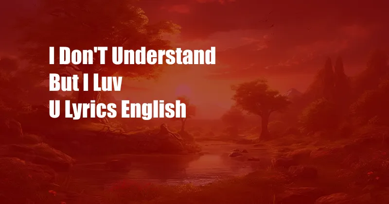 I Don'T Understand But I Luv U Lyrics English