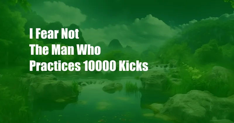 I Fear Not The Man Who Practices 10000 Kicks