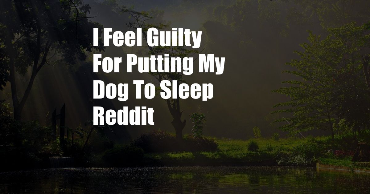 I Feel Guilty For Putting My Dog To Sleep Reddit