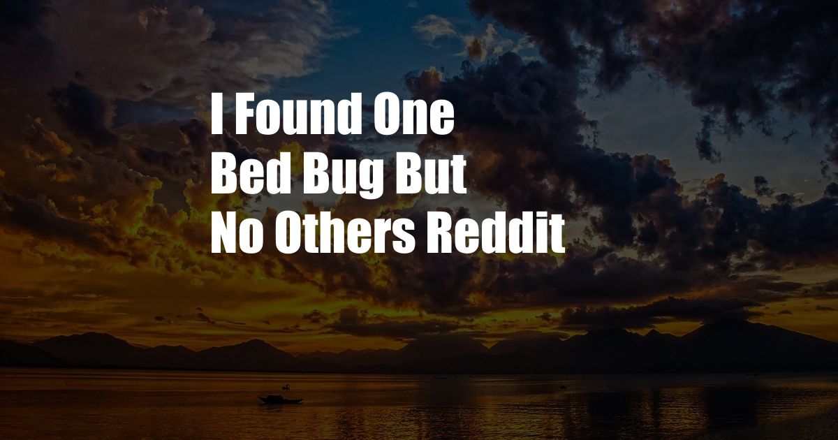 I Found One Bed Bug But No Others Reddit