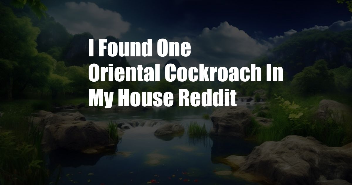 I Found One Oriental Cockroach In My House Reddit