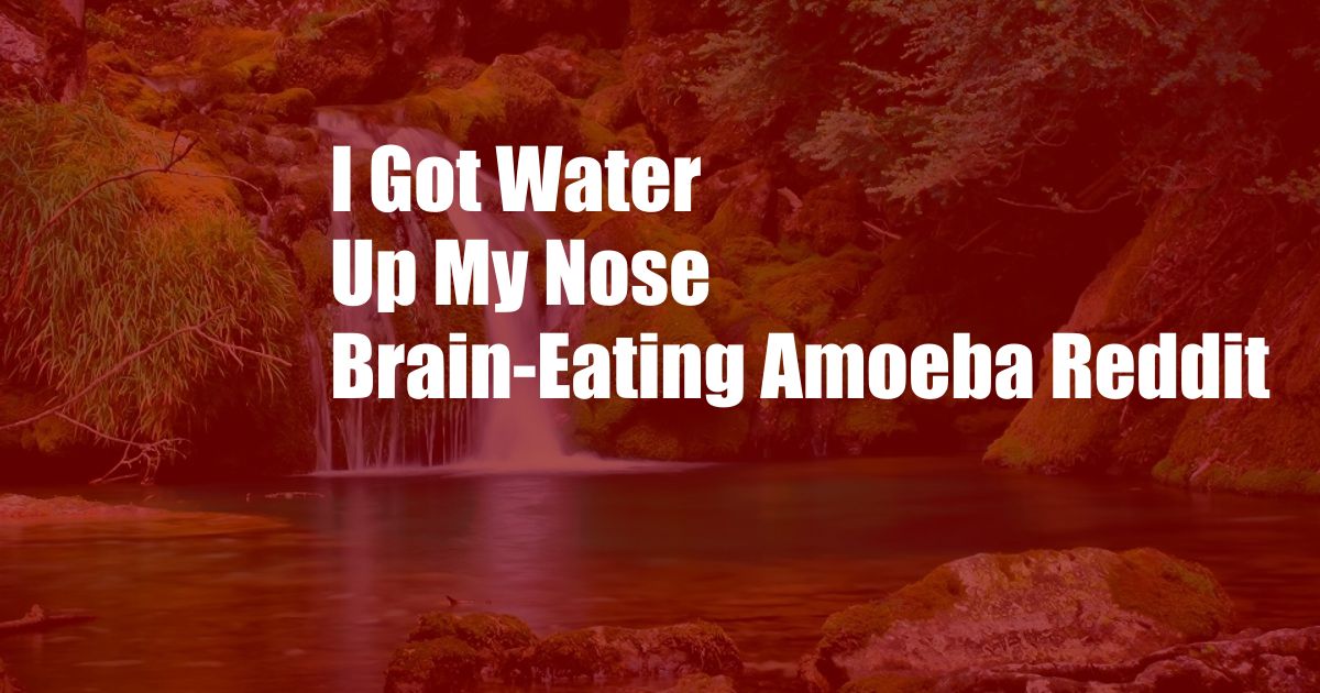 I Got Water Up My Nose Brain-Eating Amoeba Reddit