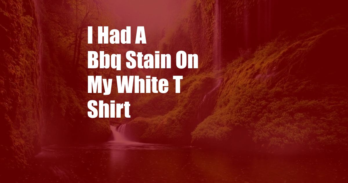 I Had A Bbq Stain On My White T Shirt