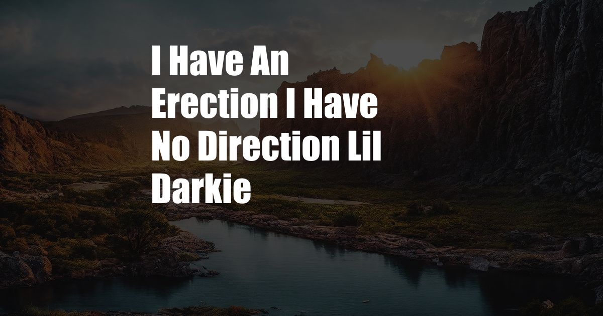 I Have An Erection I Have No Direction Lil Darkie