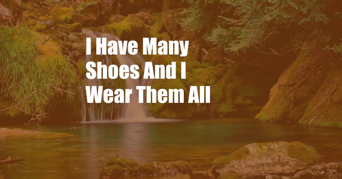 I Have Many Shoes And I Wear Them All