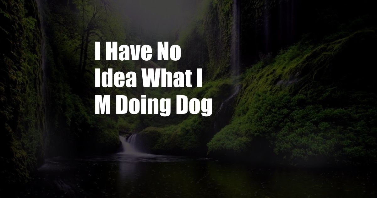 I Have No Idea What I M Doing Dog