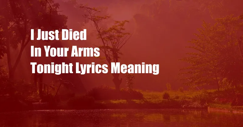 I Just Died In Your Arms Tonight Lyrics Meaning