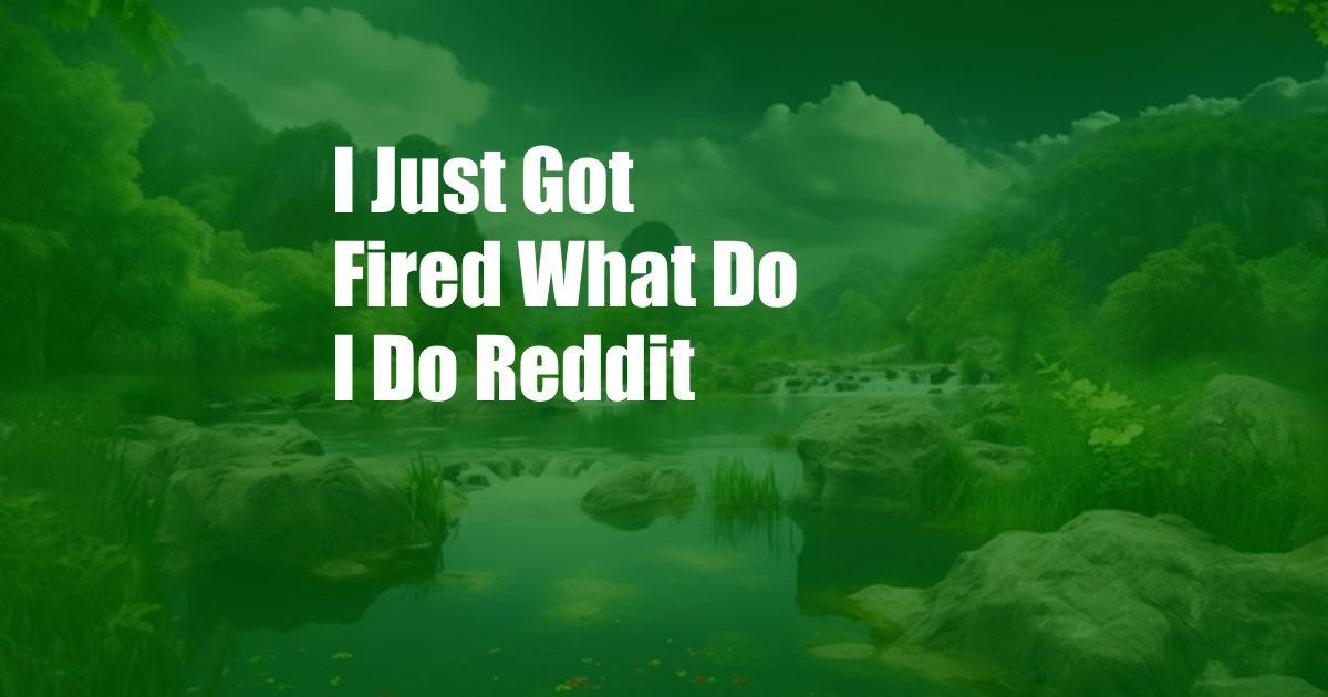 I Just Got Fired What Do I Do Reddit