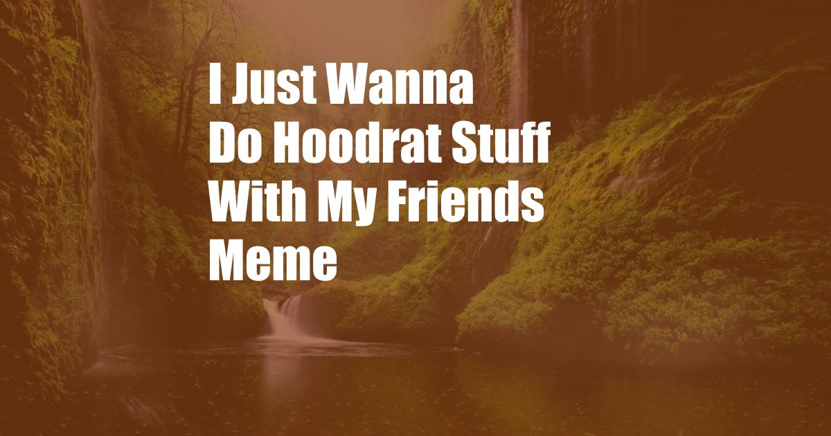 I Just Wanna Do Hoodrat Stuff With My Friends Meme