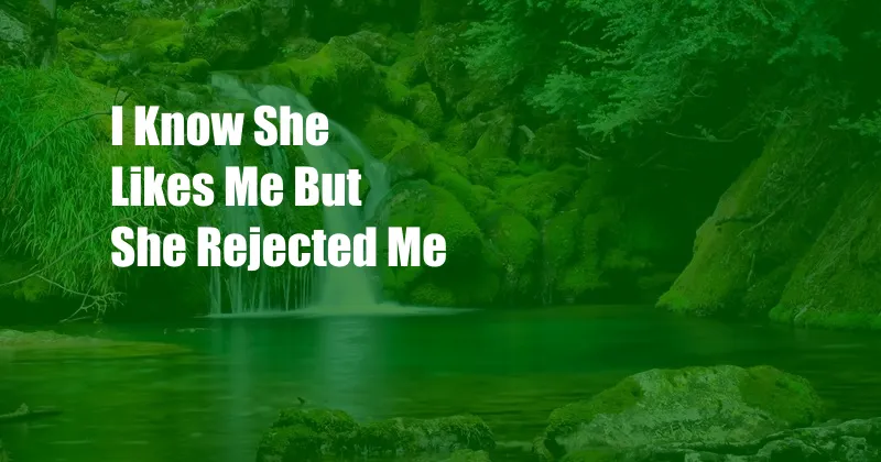 I Know She Likes Me But She Rejected Me