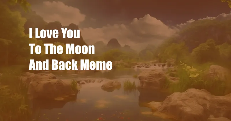 I Love You To The Moon And Back Meme