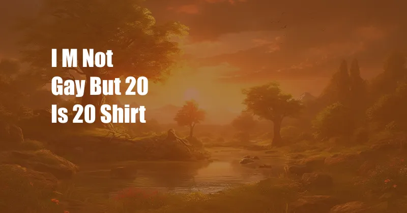 I M Not Gay But 20 Is 20 Shirt