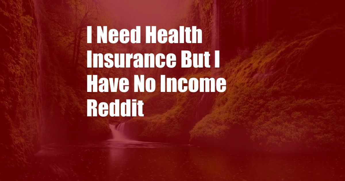 I Need Health Insurance But I Have No Income Reddit