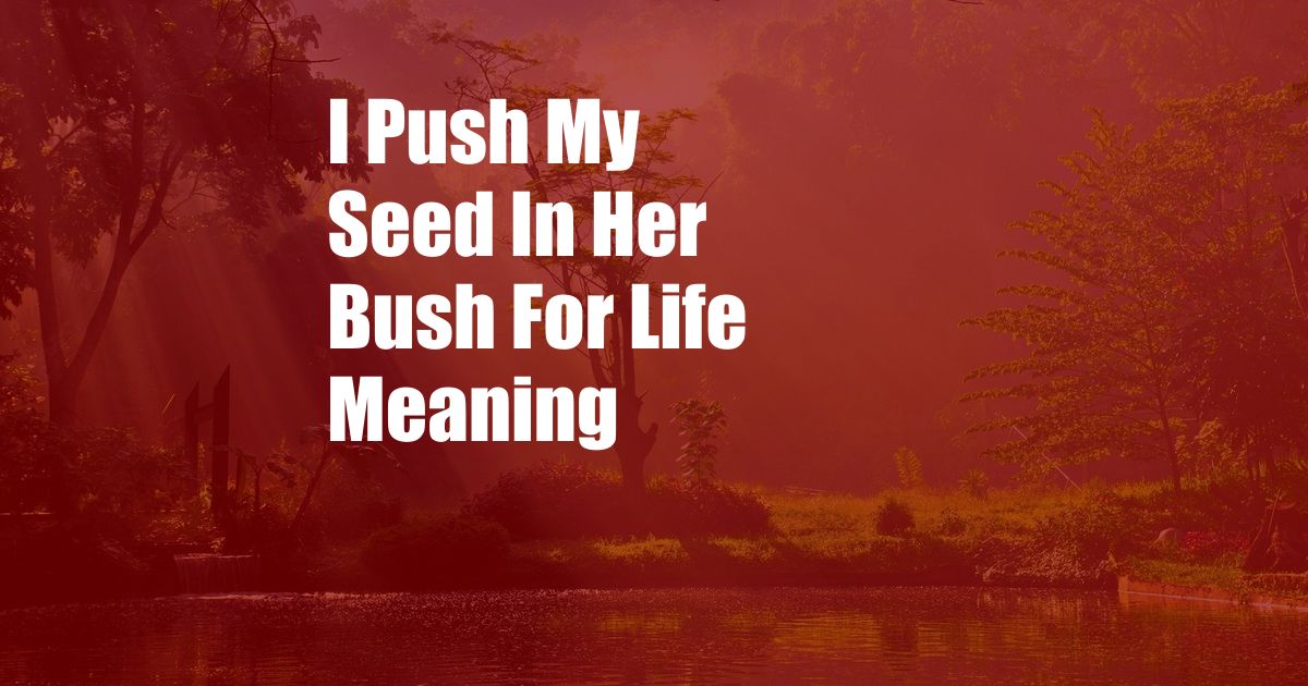 I Push My Seed In Her Bush For Life Meaning