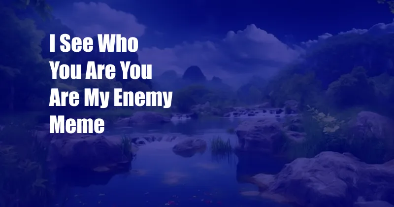 I See Who You Are You Are My Enemy Meme