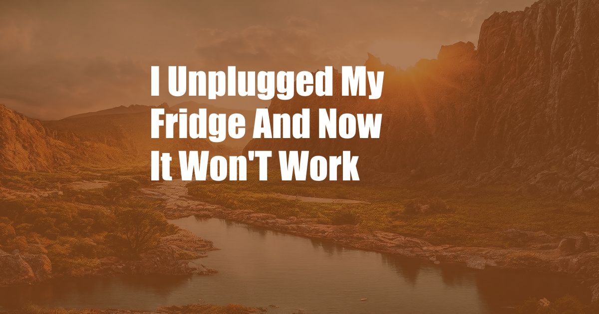 I Unplugged My Fridge And Now It Won'T Work