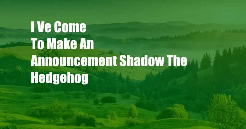 I Ve Come To Make An Announcement Shadow The Hedgehog