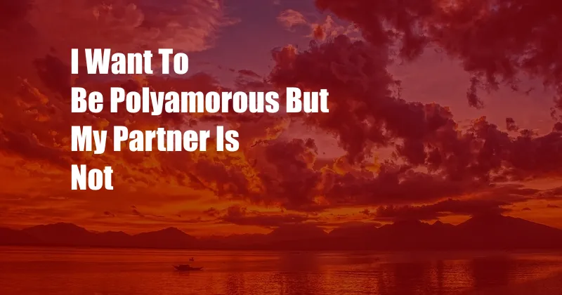 I Want To Be Polyamorous But My Partner Is Not