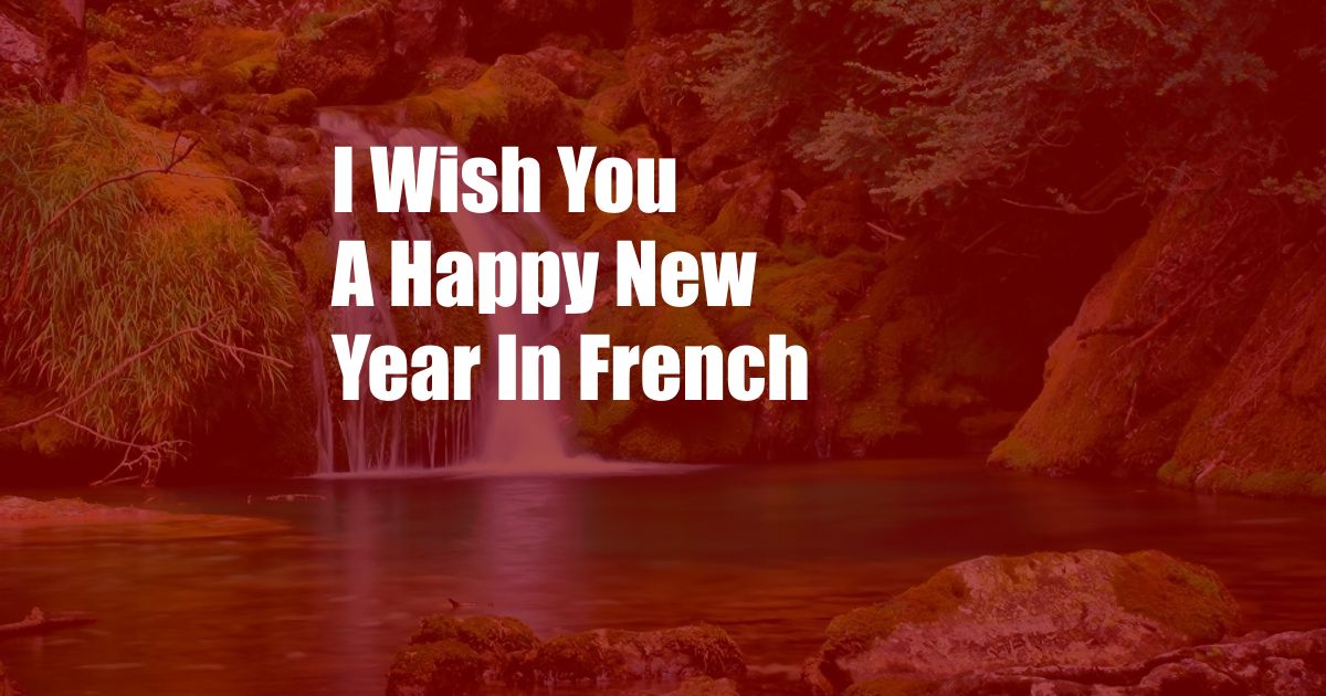 I Wish You A Happy New Year In French