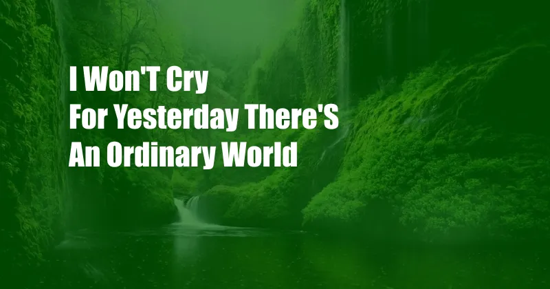 I Won'T Cry For Yesterday There'S An Ordinary World