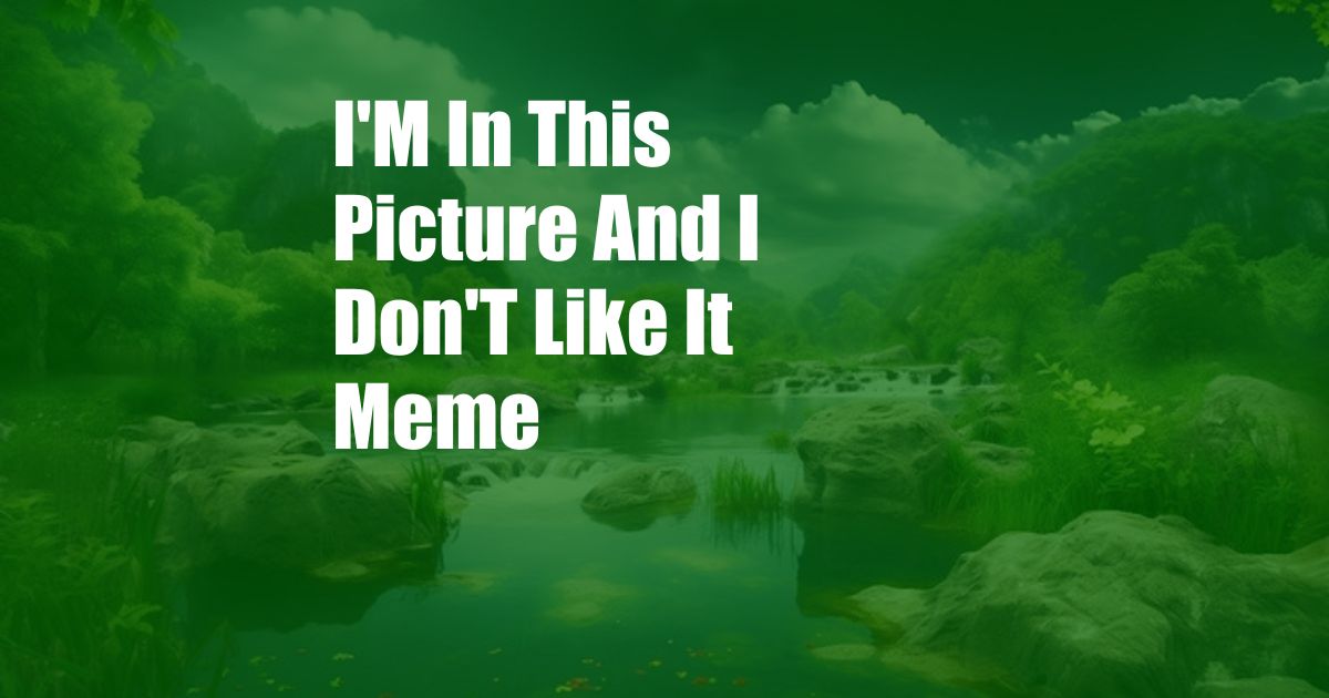 I'M In This Picture And I Don'T Like It Meme