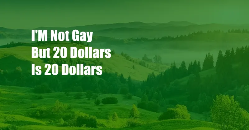 I'M Not Gay But 20 Dollars Is 20 Dollars