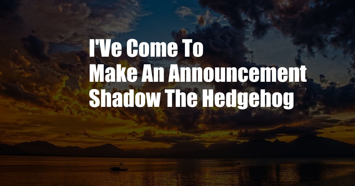 I'Ve Come To Make An Announcement Shadow The Hedgehog