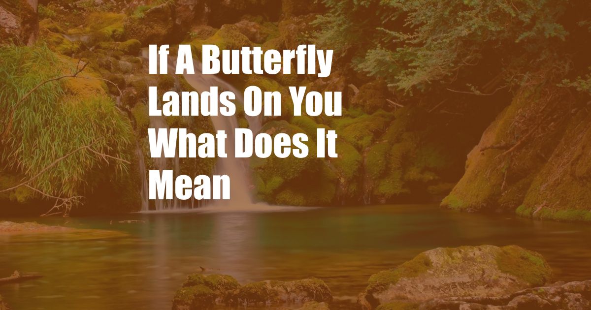 If A Butterfly Lands On You What Does It Mean