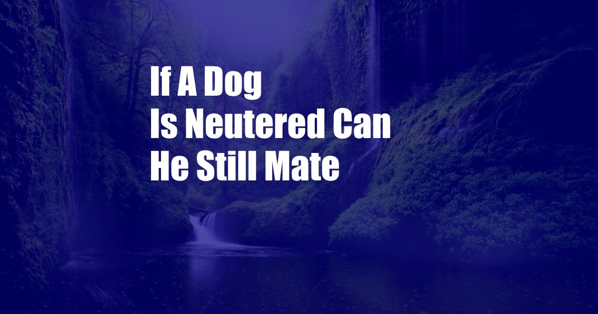 If A Dog Is Neutered Can He Still Mate