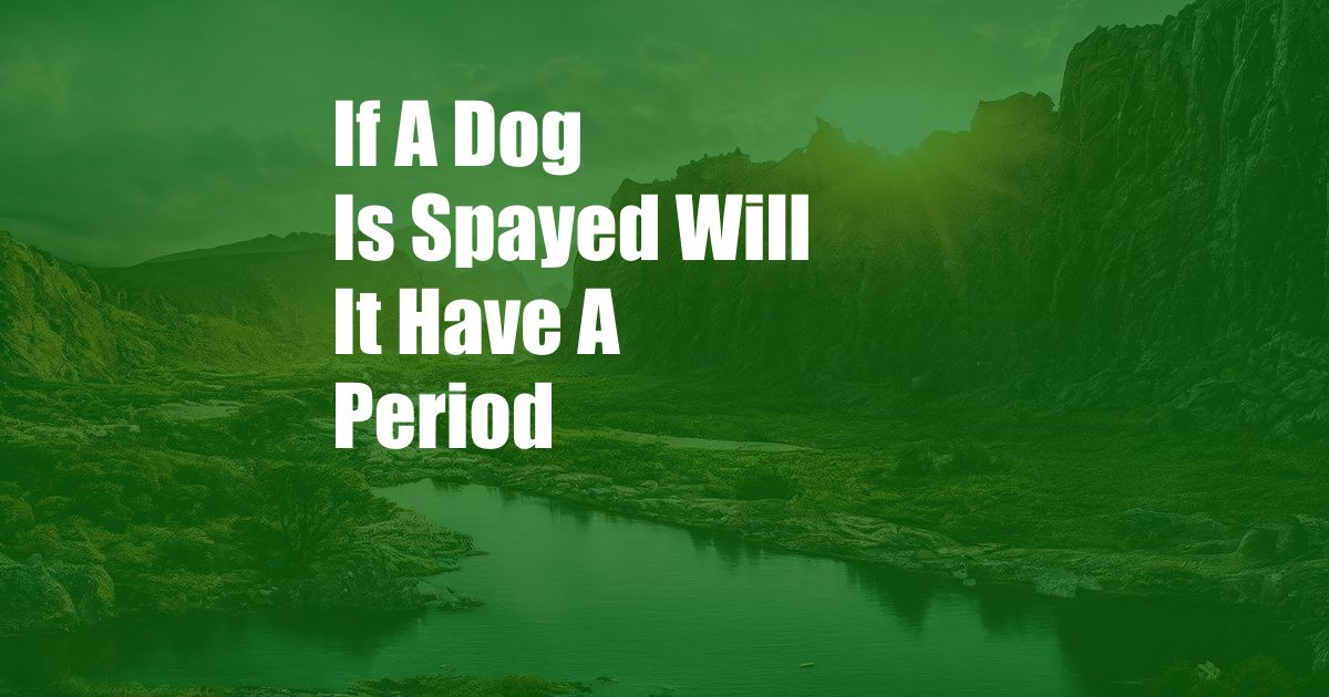 If A Dog Is Spayed Will It Have A Period