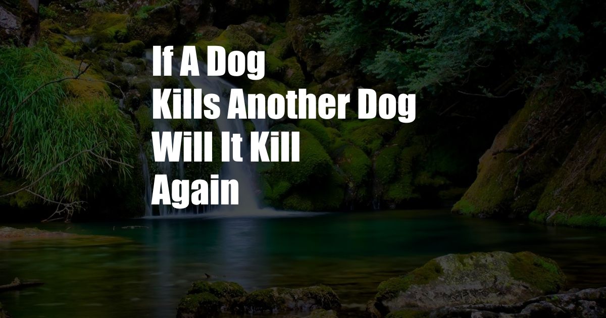 If A Dog Kills Another Dog Will It Kill Again