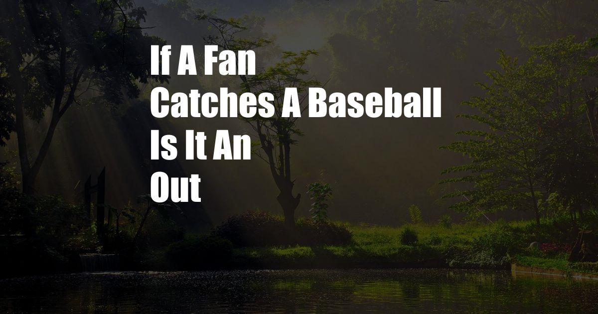 If A Fan Catches A Baseball Is It An Out