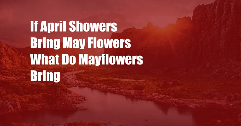 If April Showers Bring May Flowers What Do Mayflowers Bring