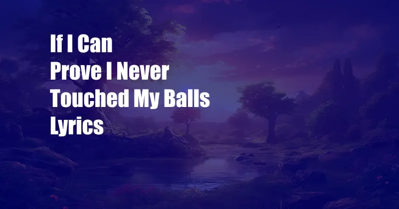 If I Can Prove I Never Touched My Balls Lyrics