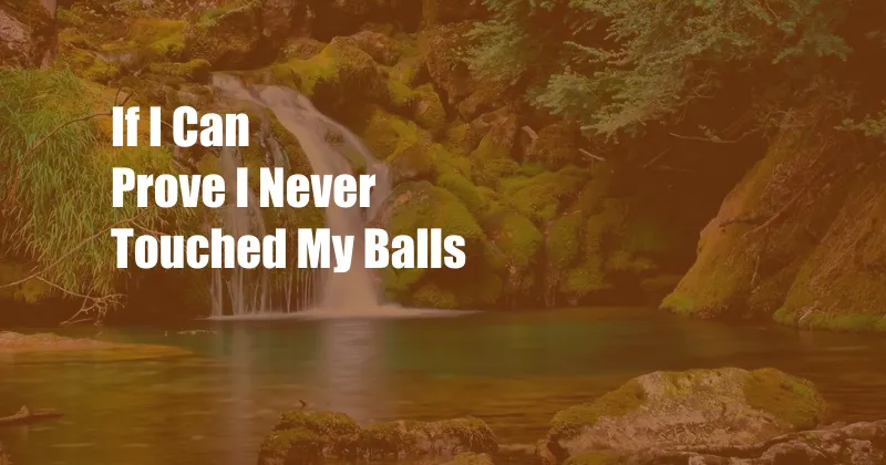 If I Can Prove I Never Touched My Balls