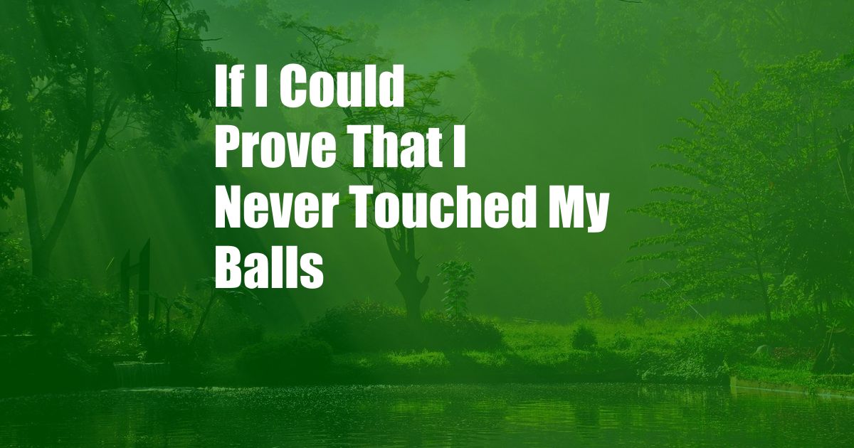 If I Could Prove That I Never Touched My Balls