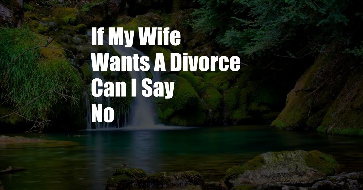 If My Wife Wants A Divorce Can I Say No