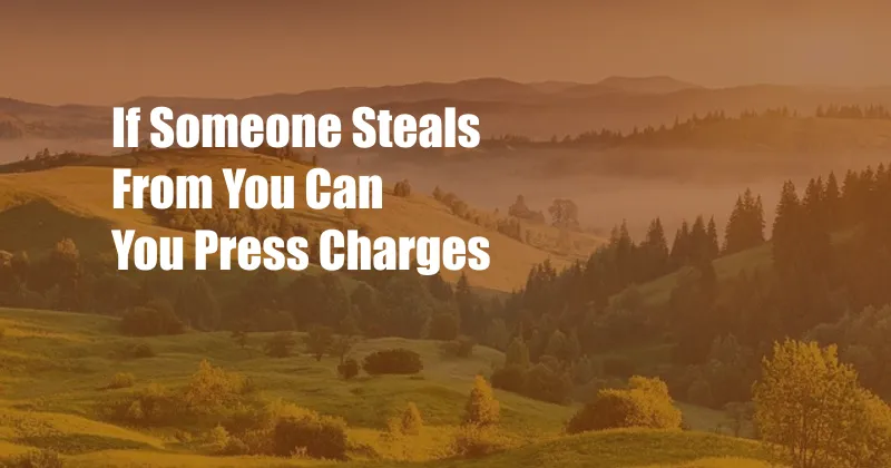 If Someone Steals From You Can You Press Charges