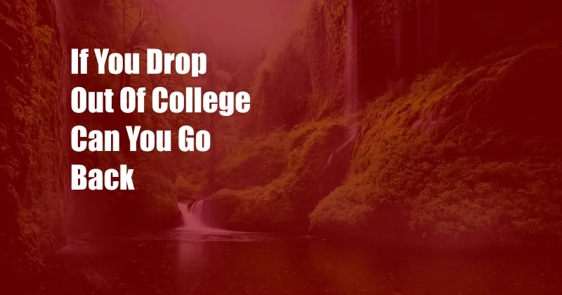 If You Drop Out Of College Can You Go Back