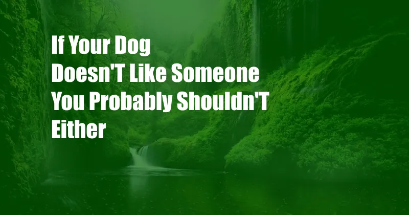 If Your Dog Doesn'T Like Someone You Probably Shouldn'T Either