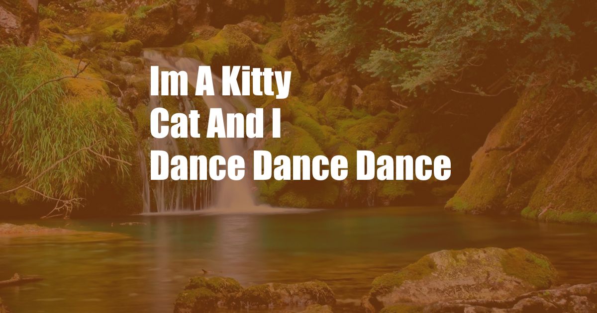 Im A Kitty Cat And I Dance Dance Dance