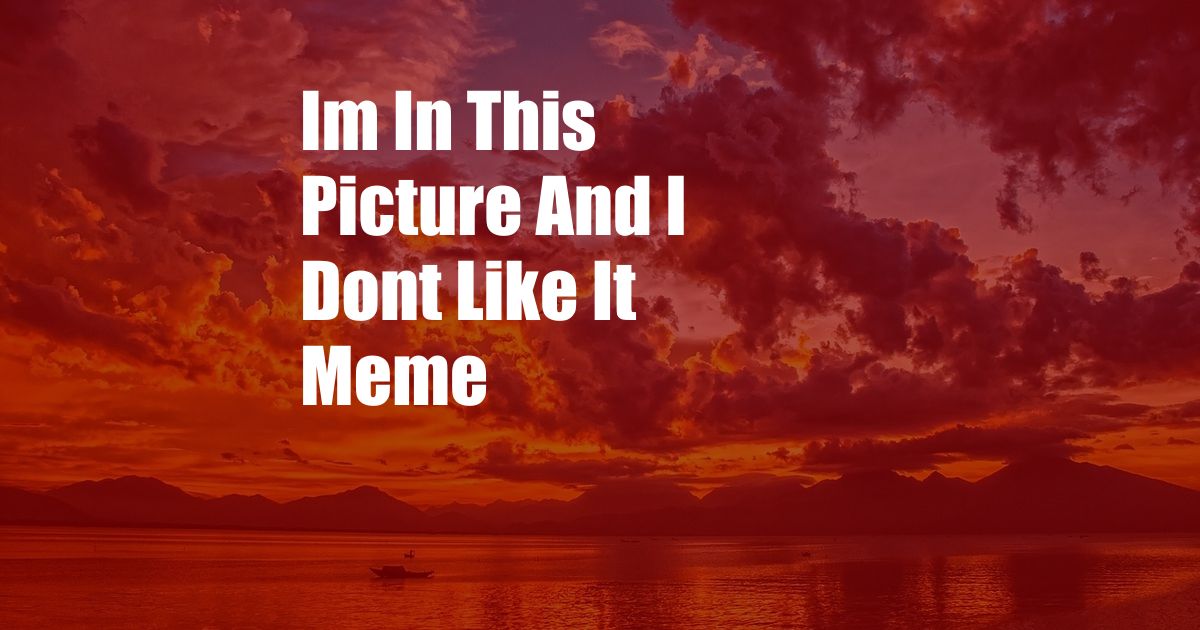 Im In This Picture And I Dont Like It Meme