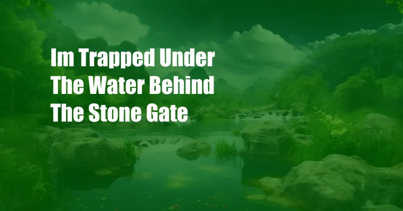 Im Trapped Under The Water Behind The Stone Gate